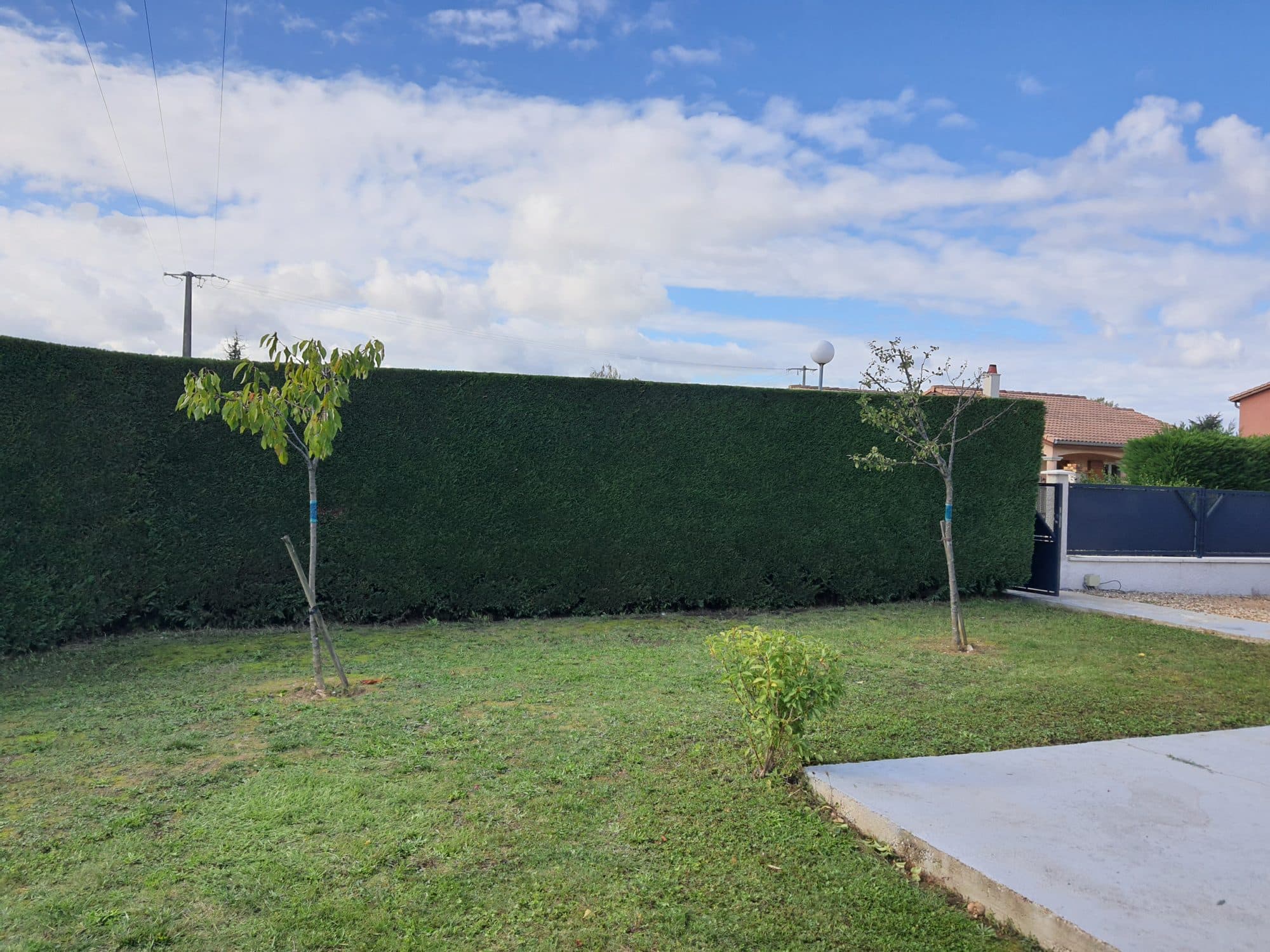 Entretien de jardin
